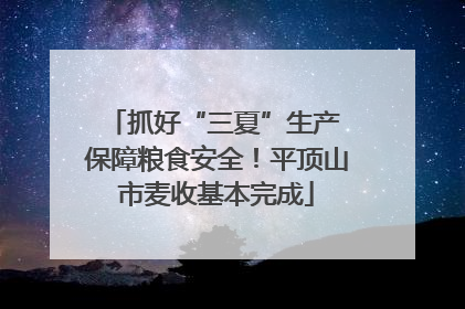 抓好“三夏”生产 保障粮食安全！平顶山市麦收基本完成