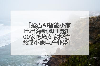 抢占AI智能小家电出海新风口 超100家跨境卖家探访慈溪小家电产业带