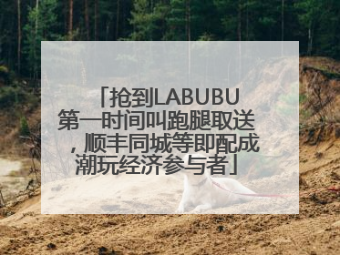抢到LABUBU第一时间叫跑腿取送，顺丰同城等即配成潮玩经济参与者