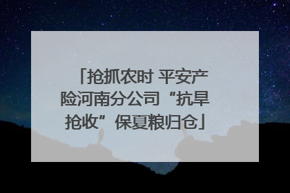 抢抓农时 平安产险河南分公司“抗旱抢收”保夏粮归仓