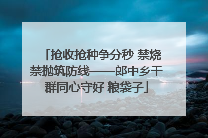抢收抢种争分秒 禁烧禁抛筑防线——郎中乡干群同心守好 粮袋子