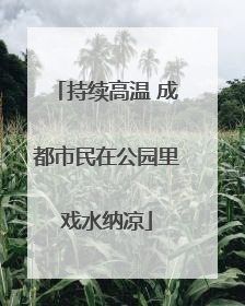 持续高温 成都市民在公园里戏水纳凉