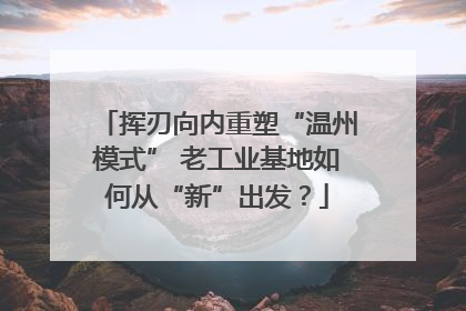 挥刃向内重塑“温州模式” 老工业基地如何从“新”出发？