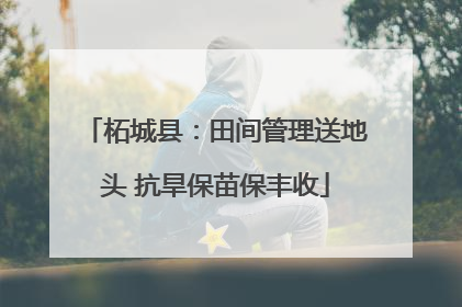 柘城县：田间管理送地头 抗旱保苗保丰收