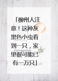柳州人注意！这种灰黑色小虫看到一只，家里很可能已有一万只
