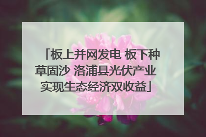 板上并网发电 板下种草固沙 洛浦县光伏产业实现生态经济双收益