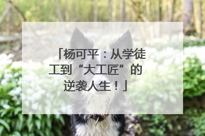 杨可平：从学徒工到“大工匠”的逆袭人生！