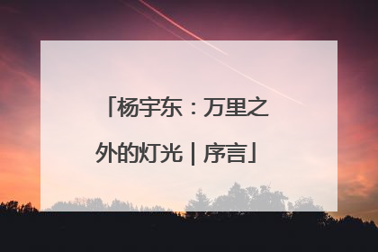 杨宇东:万里之外的灯光|序言