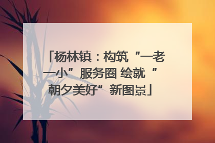 杨林镇：构筑“一老一小”服务圈 绘就“朝夕美好”新图景