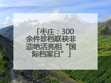 枣庄：300余件珍档联袂非遗绝活亮相“国际档案日”