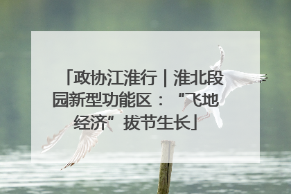 政协江淮行｜淮北段园新型功能区：“飞地经济”拔节生长