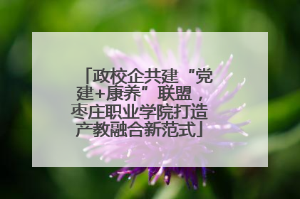 政校企共建“党建+康养”联盟，枣庄职业学院打造产教融合新范式