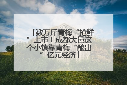 数万斤青梅“抢鲜”上市！成都大邑这个小镇靠青梅“酿出”亿元经济