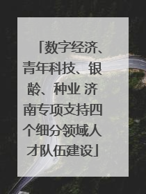 数字经济、青年科技、银龄、种业 济南专项支持四个细分领域人才队伍建设
