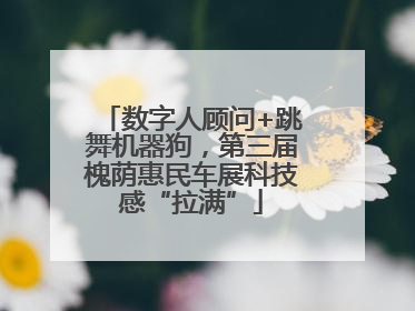 数字人顾问+跳舞机器狗，第三届槐荫惠民车展科技感“拉满”