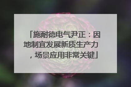 施耐德电气尹正：因地制宜发展新质生产力，场景应用非常关键