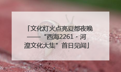 文化灯火点亮夏都夜晚——“西海2261・河湟文化大集”首日见闻