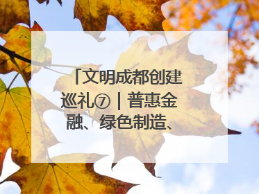 文明成都创建巡礼⑦｜普惠金融、绿色制造、公益助学展现城市文明底色