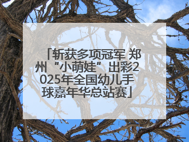 斩获多项冠军 郑州“小萌娃”出彩2025年全国幼儿手球嘉年华总站赛