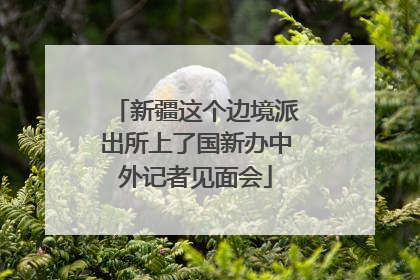 新疆这个边境派出所上了国新办中外记者见面会