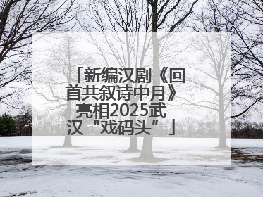 新编汉剧《回首共叙诗中月》亮相2025武汉“戏码头”