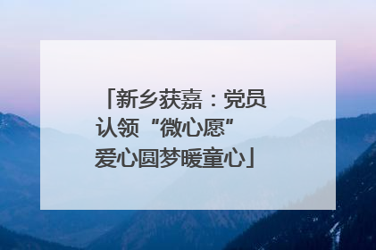 新乡获嘉：党员认领“微心愿” 爱心圆梦暖童心