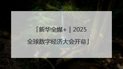 新华全媒+｜2025全球数字经济大会开幕