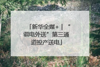 新华全媒+｜“疆电外送”第三通道投产送电