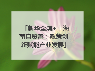 新华全媒+｜海南自贸港：政策创新赋能产业发展