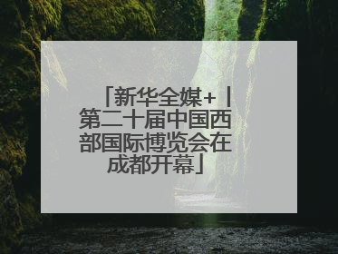 新华全媒+丨第二十届中国西部国际博览会在成都开幕