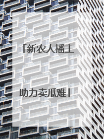新农人播主 助力卖瓜难