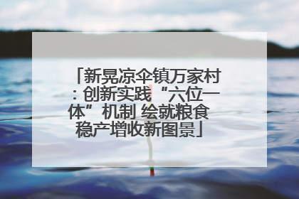 新晃凉伞镇万家村：创新实践“六位一体”机制 绘就粮食稳产增收新图景
