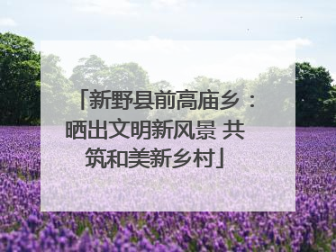 新野县前高庙乡：晒出文明新风景 共筑和美新乡村