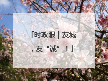 时政眼｜友城，友“诚”！