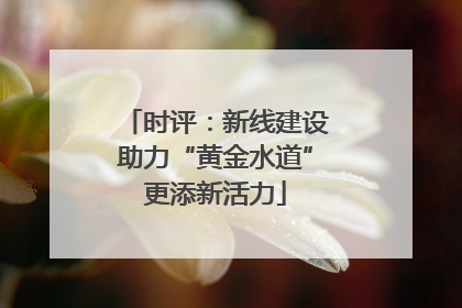 时评：新线建设助力“黄金水道”更添新活力
