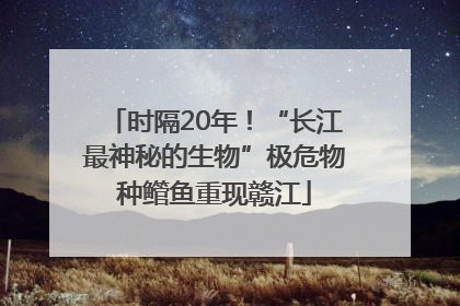 时隔20年！“长江最神秘的生物”极危物种鳤鱼重现赣江