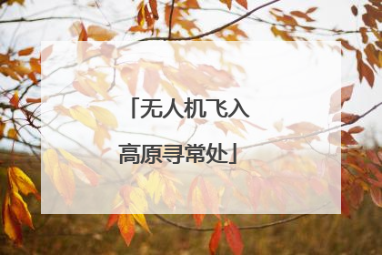 无人机飞入高原寻常处