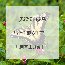 无锡锡山宛马与上海静安半马开启赛事联动