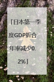 日本第一季度GDP折合年率减少0.2%