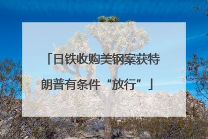 日铁收购美钢案获特朗普有条件“放行”
