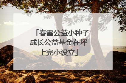 春雷公益小种子成长公益基金在坪上完小设立