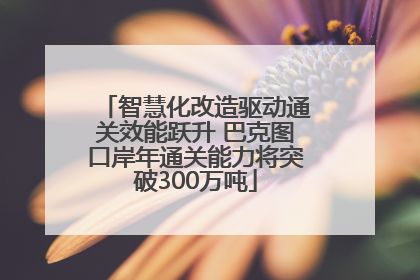 智慧化改造驱动通关效能跃升 巴克图口岸年通关能力将突破300万吨