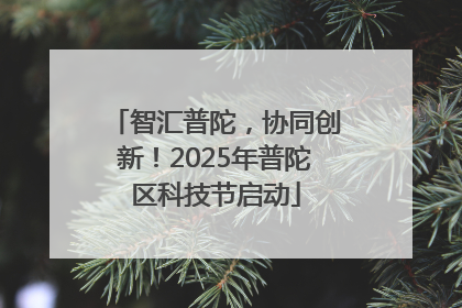 智汇普陀，协同创新！2025年普陀区科技节启动