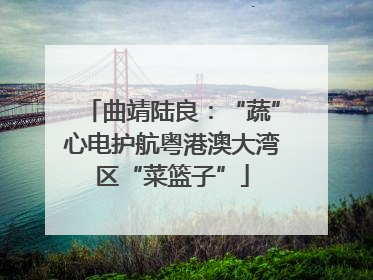 曲靖陆良：“蔬”心电护航粤港澳大湾区“菜篮子”