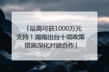 最高可获1000万元支持！湖南出台十项政策措施深化对德合作