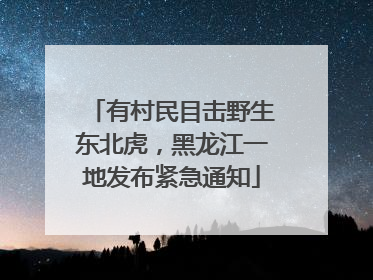 有村民目击野生东北虎，黑龙江一地发布紧急通知
