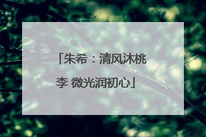 朱希：清风沐桃李 微光润初心