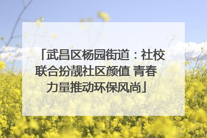 武昌区杨园街道：社校联合扮靓社区颜值 青春力量推动环保风尚