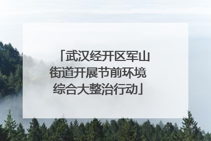 武汉经开区军山街道开展节前环境综合大整治行动