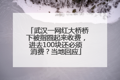 武汉一网红大桥桥下被指圈起来收费，进去100块还必须消费？当地回应